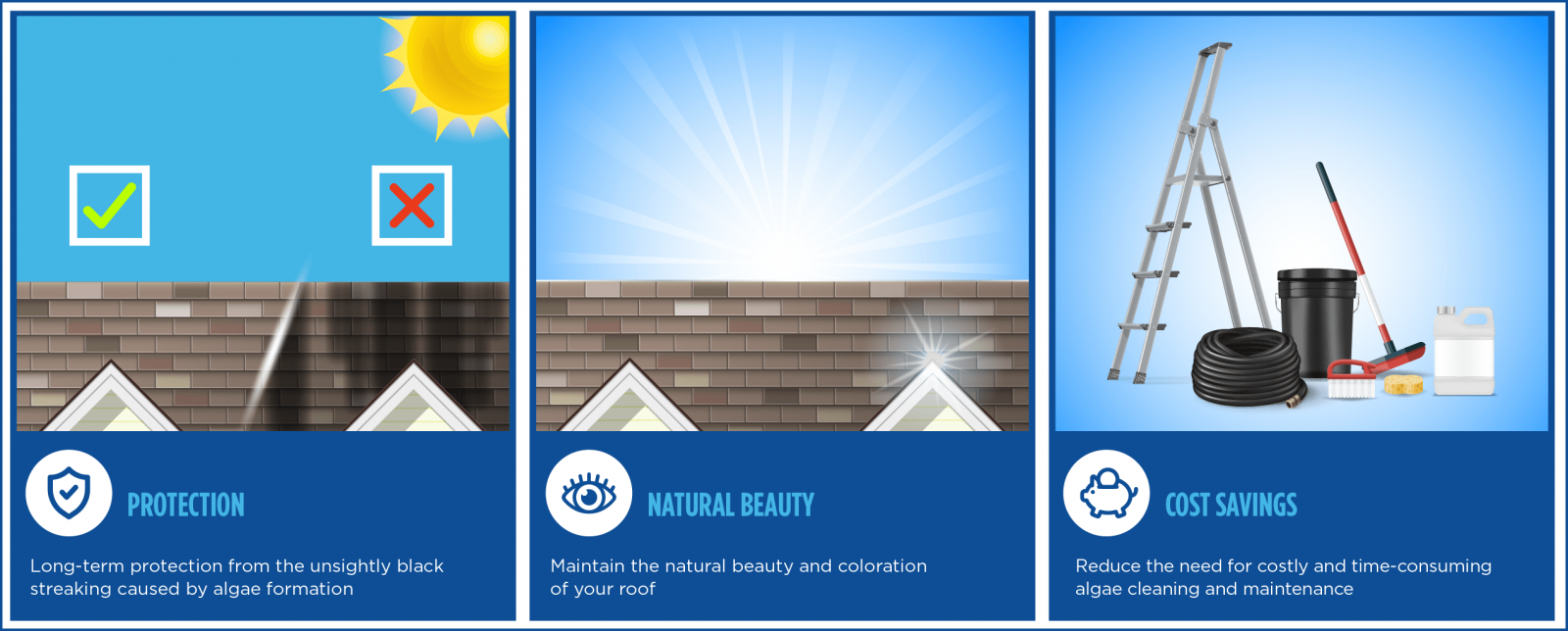 DLG Roofing Images